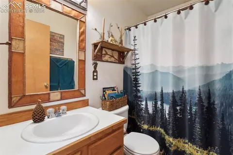 4055 Omer Ln, Divide, CO 80814 photo 21