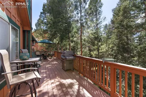 4055 Omer Ln, Divide, CO 80814 photo 36