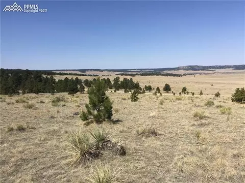 18235 Starved Rock Ln, Peyton, CO 80831 photo 15