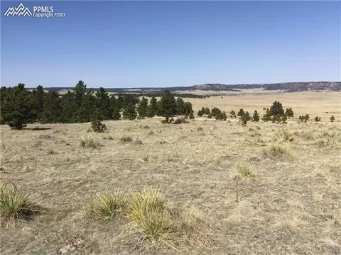 18235 Starved Rock Ln, Peyton, CO 80831 photo 8