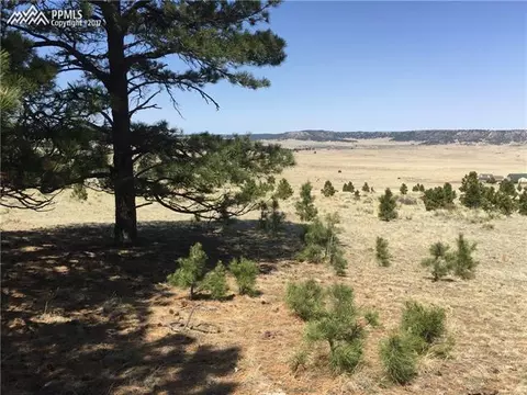 18235 Starved Rock Ln, Peyton, CO 80831 photo 18