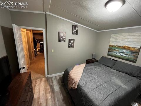 6185 Southfork Dr, Peyton, CO 80831 photo 5