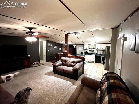6185 Southfork Dr, Peyton, CO 80831 photo 3