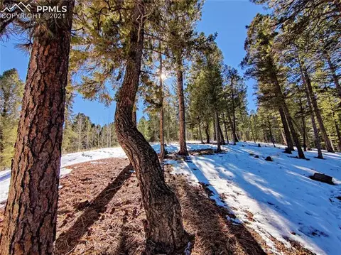 1251 Ridge Rd, Divide, CO 80814 photo 23