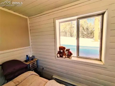 1251 Ridge Rd, Divide, CO 80814 photo 12