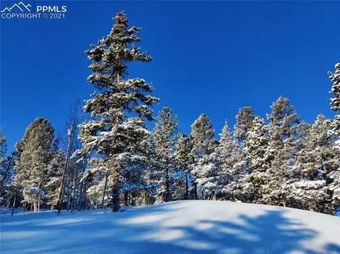 1251 Ridge Rd, Divide, CO 80814 photo 15