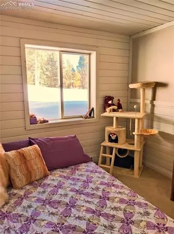 1251 Ridge Rd, Divide, CO 80814 photo 8