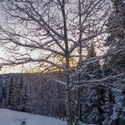 1251 Ridge Rd, Divide, CO 80814 photo 26