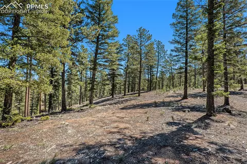 492 Nichole Grv, Woodland Park, CO 80863