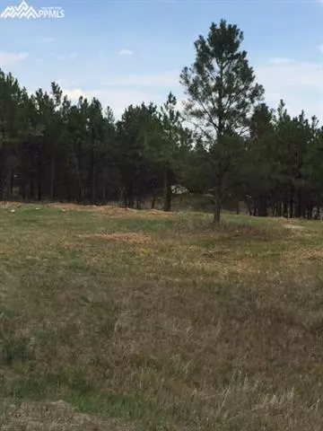 18310 Steeplechase Rd, Peyton, CO 80831 photo 3