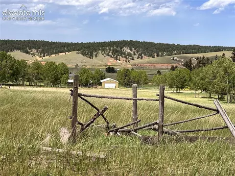 216 Will Scarlet Dr, Divide, CO 80814