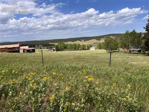216 Will Scarlet Dr, Divide, CO 80814 photo 6