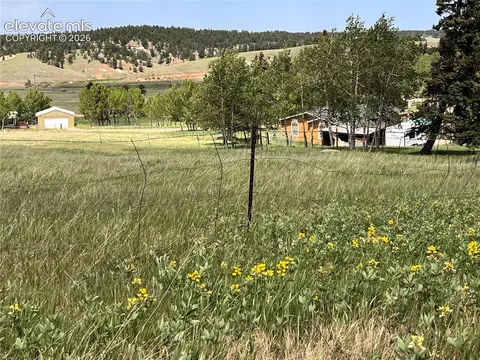 216 Will Scarlet Dr, Divide, CO 80814 photo 5
