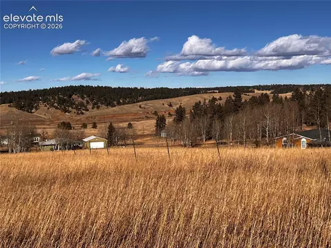 216 Will Scarlet Dr, Divide, CO 80814 photo 2
