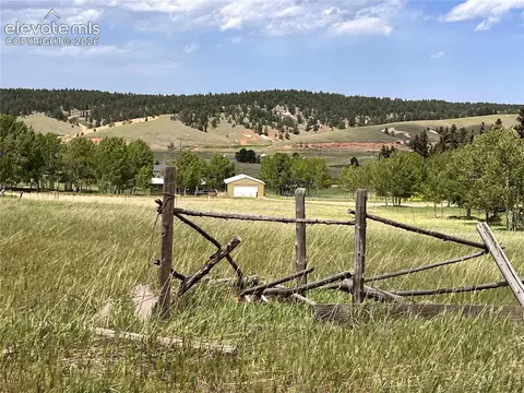 216 Will Scarlet Dr, Divide, CO 80814 photo 4