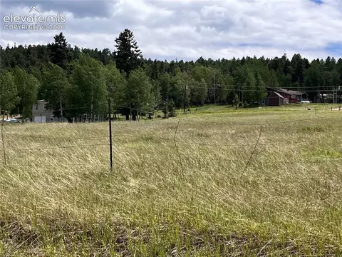 216 Will Scarlet Dr, Divide, CO 80814 photo 3
