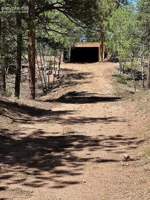 305 281 Midnight Ln, Florissant, CO 80816
