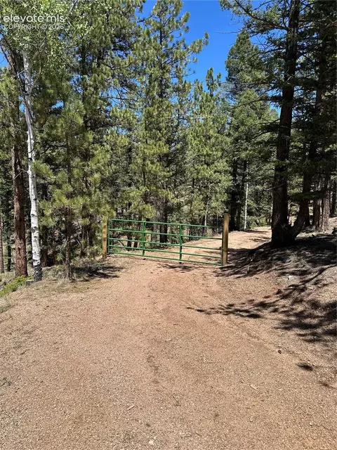 305 281 Midnight Ln, Florissant, CO 80816