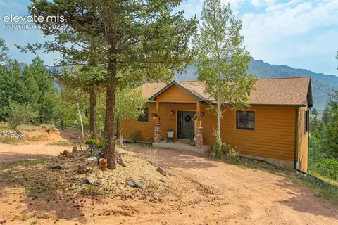 5545 Scout Ridge Trl, Cascade, CO 80809