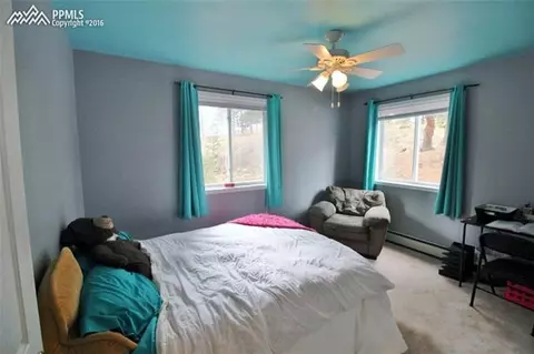 251 Blue Mesa Dr, Divide, CO 80814 photo 13
