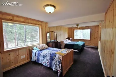 251 Blue Mesa Dr, Divide, CO 80814 photo 16