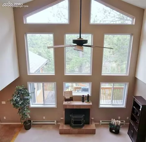 251 Blue Mesa Dr, Divide, CO 80814 photo 3