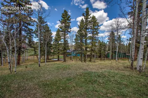 571 Will Scarlet Dr, Divide, CO 80814 photo 2