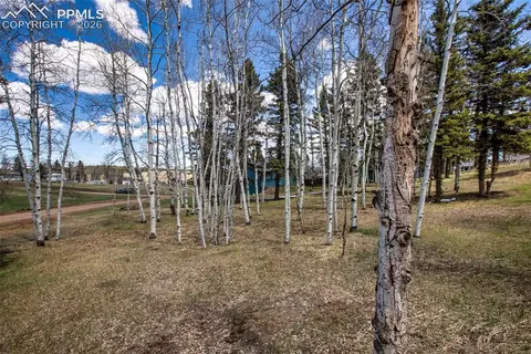 571 Will Scarlet Dr, Divide, CO 80814 photo 5