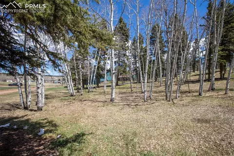 571 Will Scarlet Dr, Divide, CO 80814 photo 6