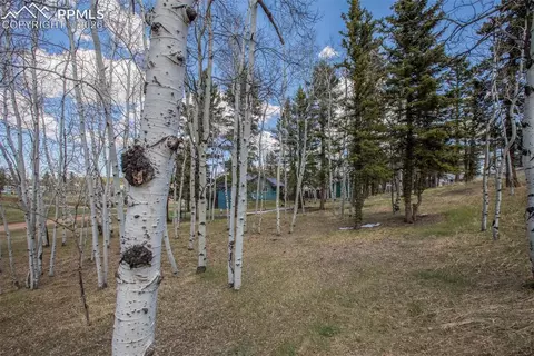 571 Will Scarlet Dr, Divide, CO 80814 photo 4