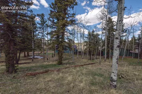 571 Will Scarlet Dr, Divide, CO 80814 photo 3