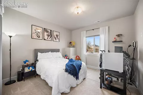 15665 Native Willow Dr, Monument, CO 80132 photo 44