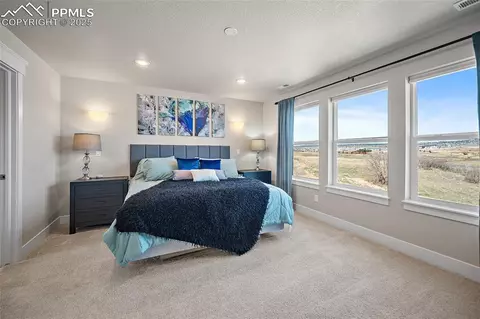 15665 Native Willow Dr, Monument, CO 80132 photo 32