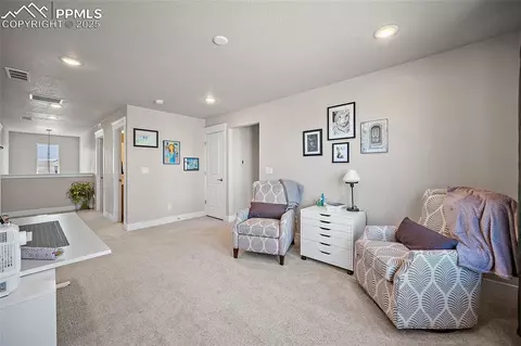 15665 Native Willow Dr, Monument, CO 80132 photo 31