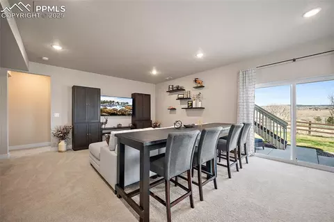 15665 Native Willow Dr, Monument, CO 80132 photo 42