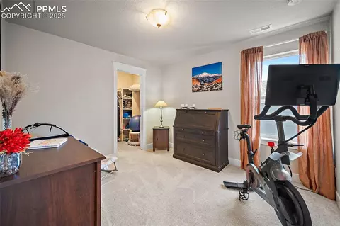 15665 Native Willow Dr, Monument, CO 80132 photo 30