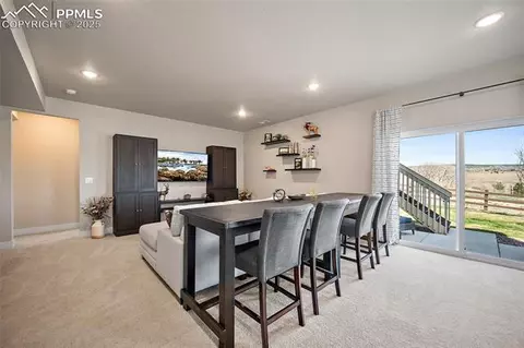 15665 Native Willow Dr, Monument, CO 80132 photo 42