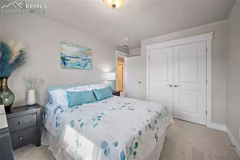 15665 Native Willow Dr, Monument, CO 80132 photo 28