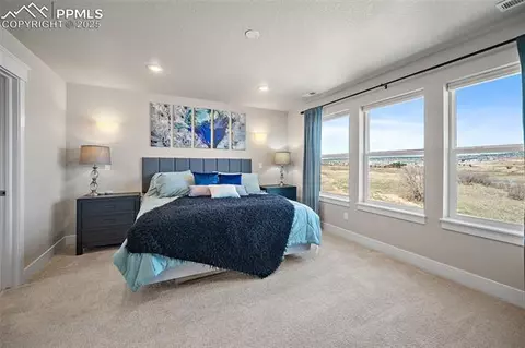 15665 Native Willow Dr, Monument, CO 80132 photo 32