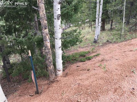 633 Calcite Dr, Divide, CO 80814 photo 1