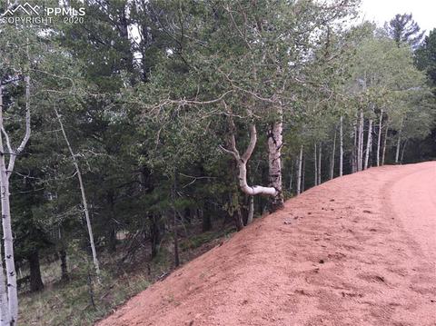 633 Calcite Dr, Divide, CO 80814 photo 6
