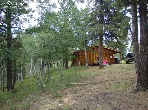 4033 Cedar Mountain Rd, Divide, CO 80814 photo 25