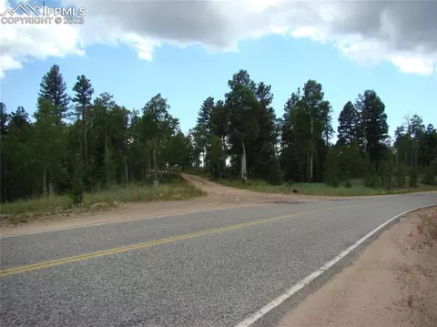 4033 Cedar Mountain Rd, Divide, CO 80814 photo 26