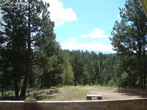 4033 Cedar Mountain Rd, Divide, CO 80814 photo 24