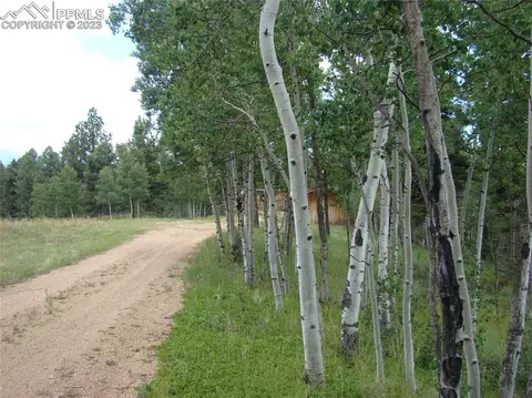 4033 Cedar Mountain Rd, Divide, CO 80814 photo 30