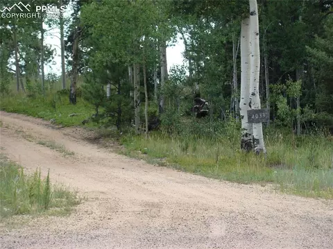 4033 Cedar Mountain Rd, Divide, CO 80814 photo 27