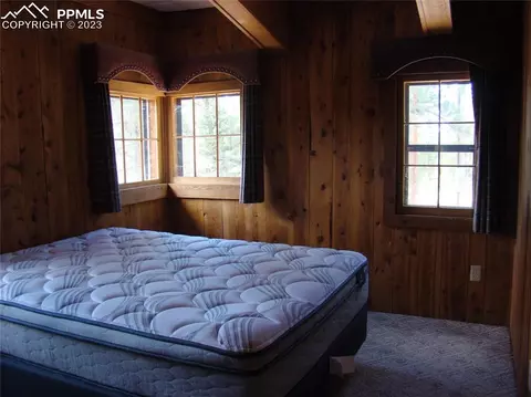 4033 Cedar Mountain Rd, Divide, CO 80814 photo 10