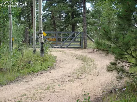 4033 Cedar Mountain Rd, Divide, CO 80814 photo 28