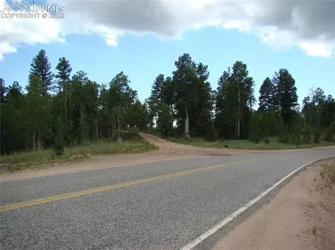 4033 Cedar Mountain Rd, Divide, CO 80814 photo 26