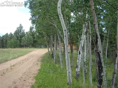 4033 Cedar Mountain Rd, Divide, CO 80814 photo 30